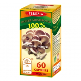 100% AUSTRIŲ GRYBAS 60 KAPSULIŲ