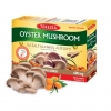 TEREZIA OYSTER MUSHROOM WITH SEA-BUCKTHORN OIL 60 CAPSULES
