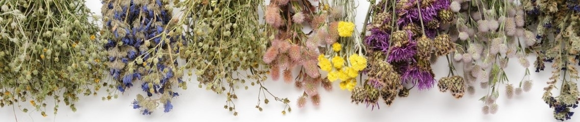 Herbs & Botanicals