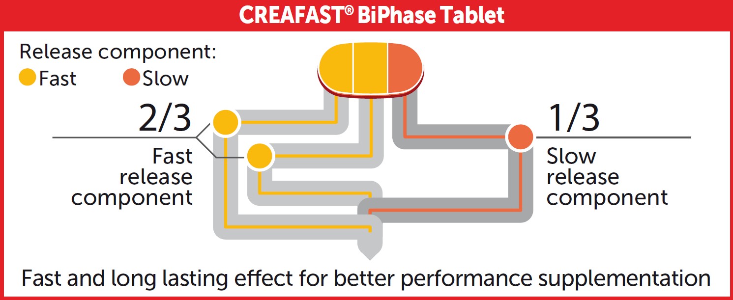 Creafast biphase creatine quality pure effective fast release slow release unique formula supplement nutrition for sportemens