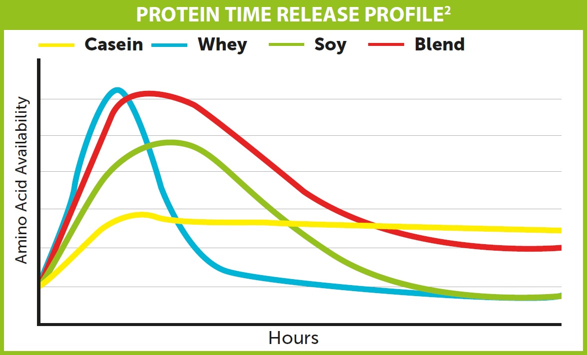 Protein time release data emedical quality sport supplements