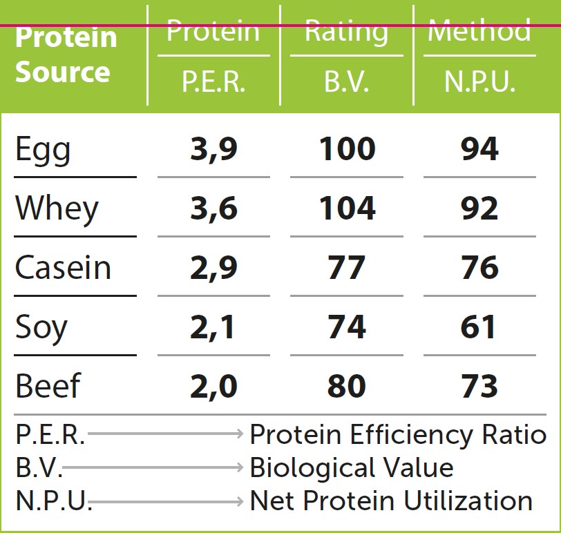 Protein efficiency comparison